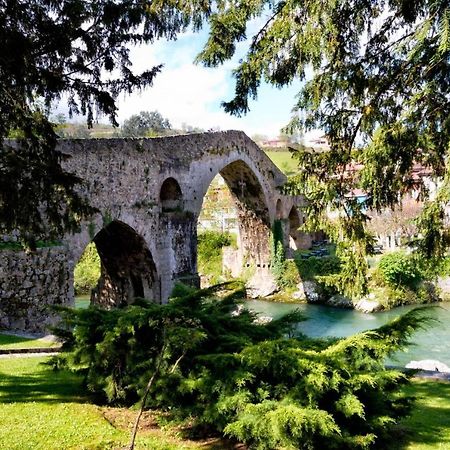 Apartamento El Cortijo Cangas de Onis Bagian luar foto